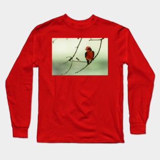 Little Red Beauty - Vermilion Flycatcher Long Sleeve T-Shirt